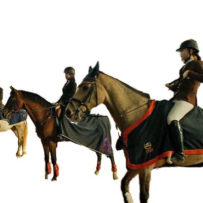 Edifício com Estrutura de Aço Leve para Pista de Hipismo Coberta