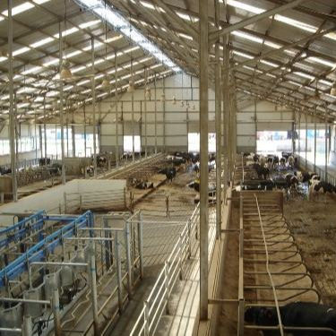 Estrutura de Aço Personalizada para Aviário com Instalação Rápida