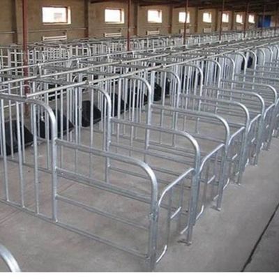 Estrutura de Aço Personalizada para Aviário com Instalação Rápida